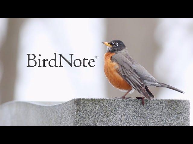 The Wonder and Joy of Birds