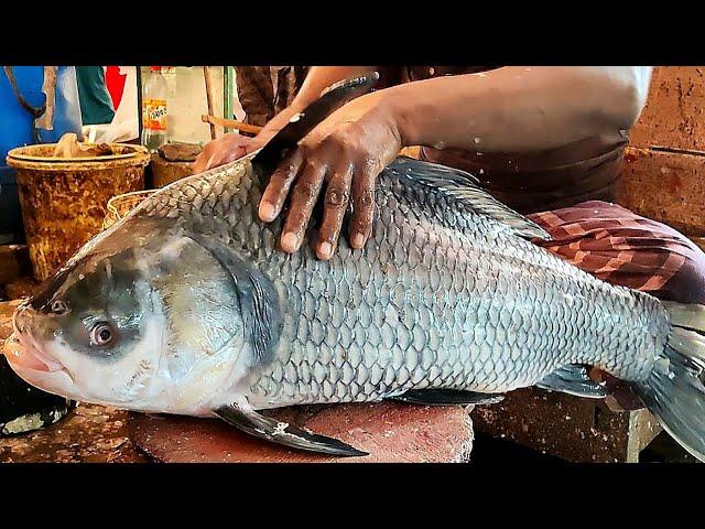 BIG KATLA CARP FISH CLEANING & CUTTING - FRESH FISH CUTTING SKILLS
