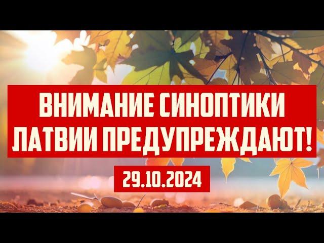 ВНИМАНИЕ СИНОПТИКИ ЛАТВИИ ПРЕДУПРЕЖДАЮТ! | 29.10.2024 | КРИМИНАЛЬНАЯ ЛАТВИЯ