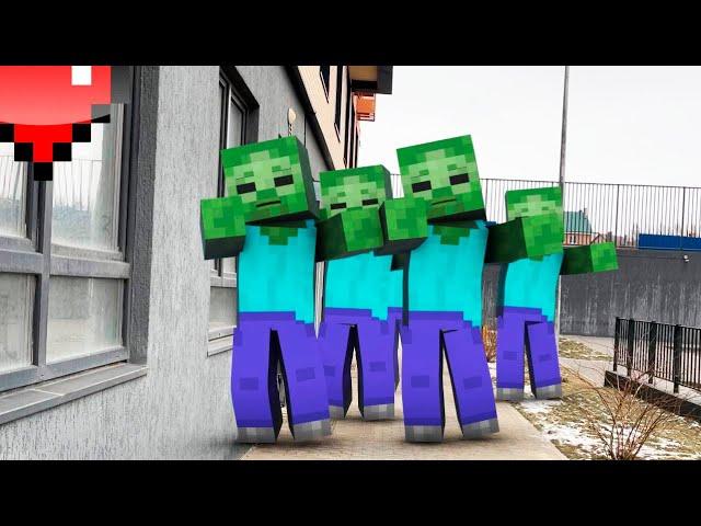 minecraft in real life - stream