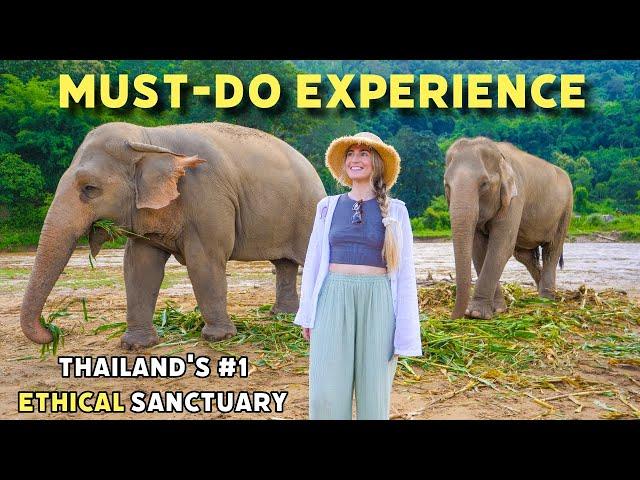 This Was INCREDIBLE! Thailand's BEST Elephant Sanctuary Experience 