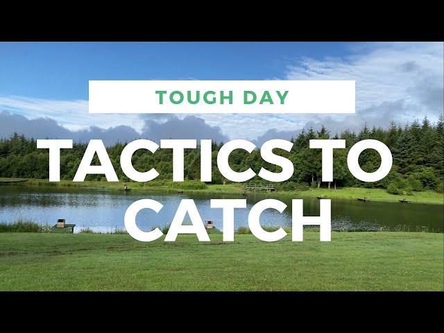 Summer Fly Fishing - How To Catch Trout On A TOUGH Day!