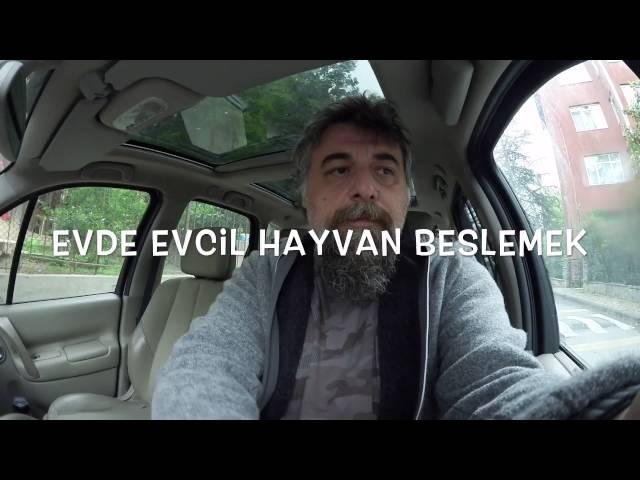 EVCİL HAYVAN BESLEMEK - İZLEMEDEN KARAR VERMEYİN