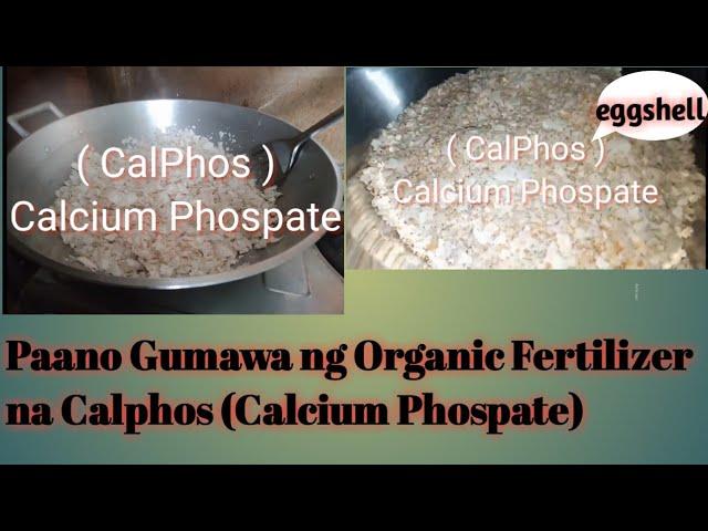 Paano Gumawa ng CalPhos,How to make Calcium Phospate pr maging Fertilizer sa Halamang Gulay,Plantito