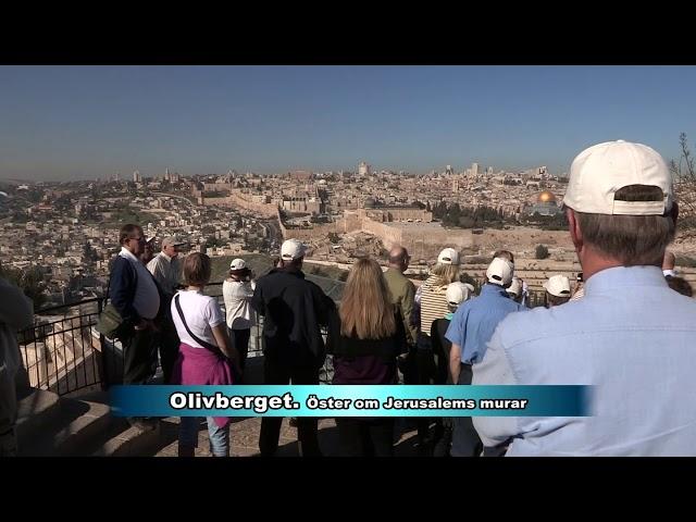 Cymbal TV - Ny Glädje 1316 - Ngr dagar i Jerusalem - KG Larsson - ett litet land med stor betydelse