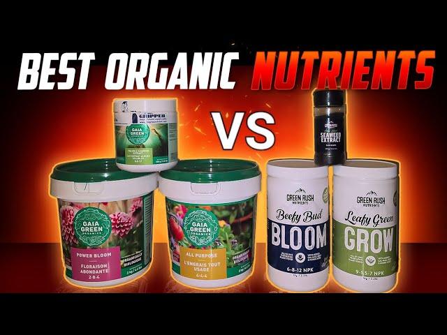 THE BEST ORGANIC NUTRIENTS FOR PLANTS