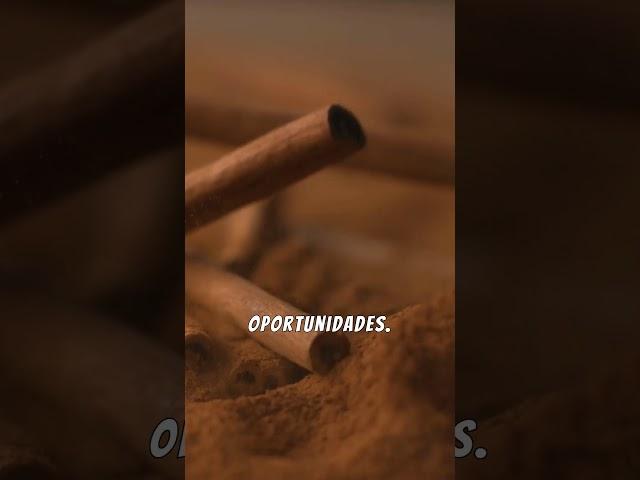  PODEROSO SECRETO que pocos conocen ¿Qué significa LLEVAR CANELA en el BOLSILLO? #shorts #canela