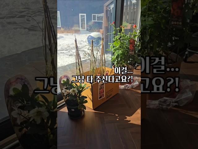 대림엠버서더 행사에 다녀왔어요! #shorts#전원주택#단독주택#주택살이#셀프정원#대림원예#엠버서더 @DAILIM_NURSERY