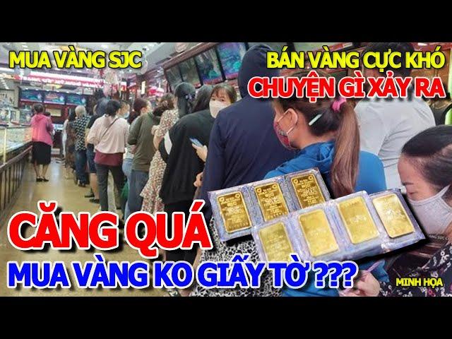 CHUYỆN GÌ ĐANG XẢY RA - MUA VÀNG SJC KO GIẤY TỜ & CÁI KẾT ĐỨNG NGỒI KO YÊN - GIẢI TỎA LÊ VĂN DUYỆT