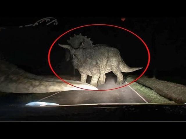 Top 10 Animals Believed To Be Extinct Caught On Camera