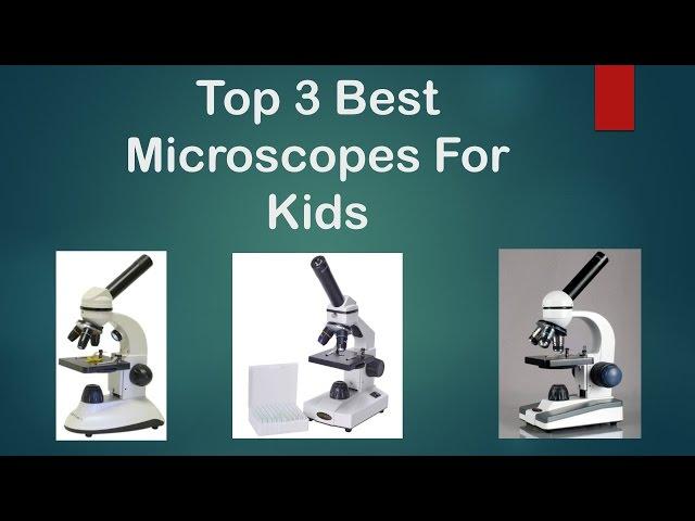 Best Microscope For Kids - Top 3 Best Microscopes For Kids and Teens