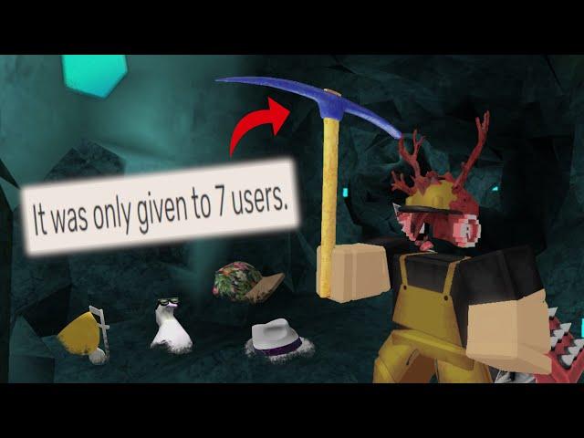 The Rarest Roblox Accessories (That NOBODY Knows About)