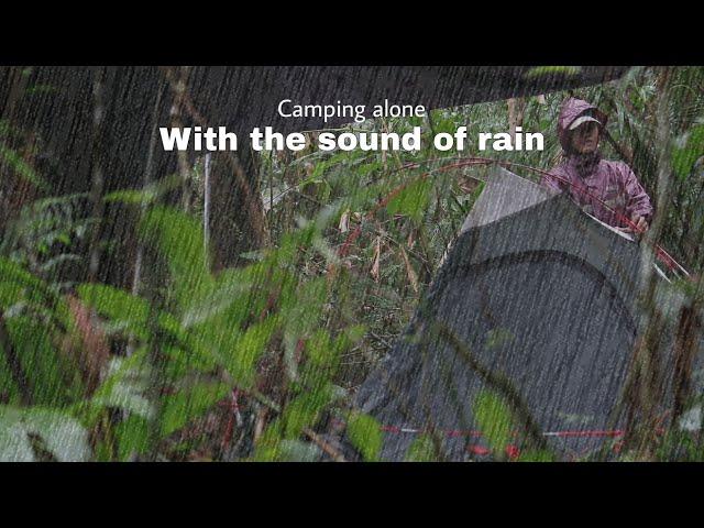 Solo camping - ASMR | sound of rain | Camping sendiri dihutan rimba | Natural sound