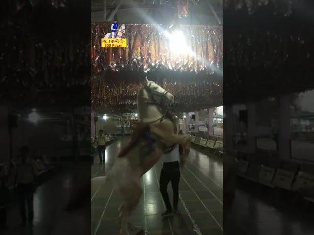 Action Star Raja at Chudel mata temple Mr. કણબી  500 Patan Mitul Patel Karan Asav Farm
