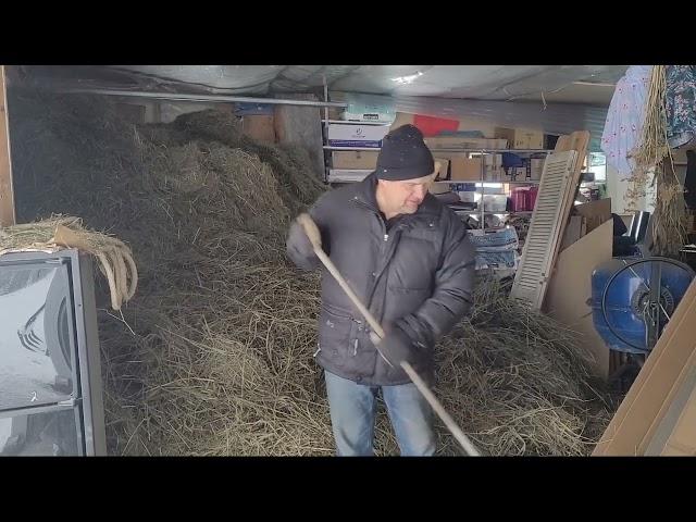 Будни мини-фермы/Minifarm Alltag, 01.2023 Video