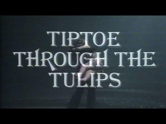 Play for Today - Tiptoe through the Tulips by Beryl Bainbridge & Claude Whatham