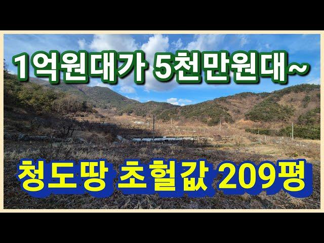 청도군 이서면 200평대의 1억원대가 5천만원대로 득템 할수있는 청도임야 청도땅 청도주말농장 좋아요