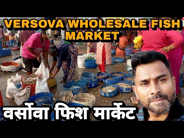 मुंबईका वर्सोवा फिश मार्केट (Mumbai) Versova Village Fish Market Sabse Sasta Fish Market 2022 Update