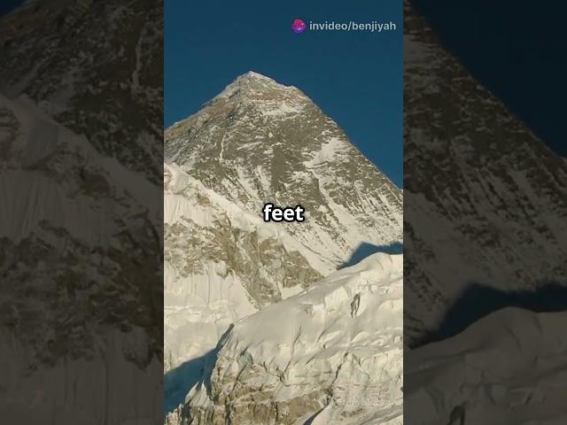 The Tallest Mountain on Earth?