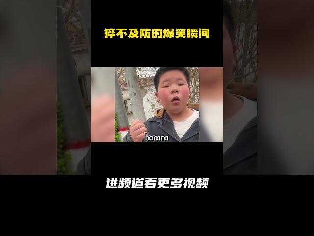 专治不开心的爆笑瞬间