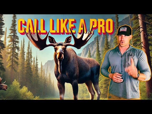 Moose Calling Tips and Tactics from Alaskan Guide