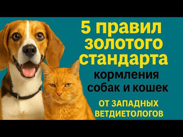 Золотые стандарты кормления собак и кошек от западных ветдиетологов. Ваш питомец скажет-Да!