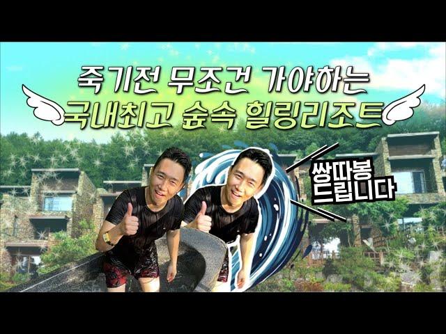 리솜포레스트 빌라동 호텔동 전격 비교 영상 | 국내에 이만한 힐링 리조트가 있을까요?