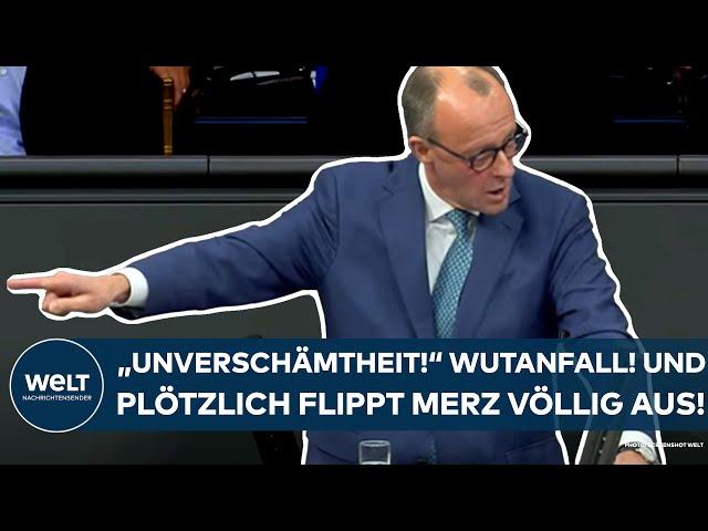 FRIEDRICH MERZ: AfD? "Unverschämtheit!" Wutanfall! Und plötzlich flippt der CDU-Chef völlig aus!