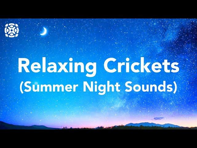 Night Time Summer Nature Sounds, Cricket Conversations For Sleeping 12 Hours