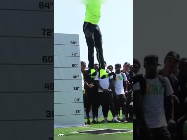 How high can human beings jump?