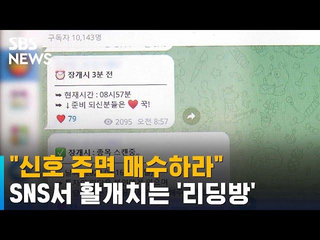 "신호 주면 매수하라"…SNS서 활개치는 '리딩방' / SBS