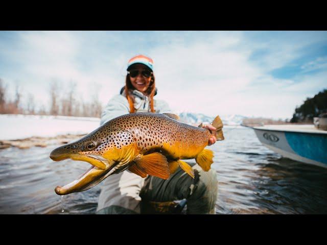 THE BEST FLOAT EVER - Crushing Multiple Giant Brown Trout on Streamers