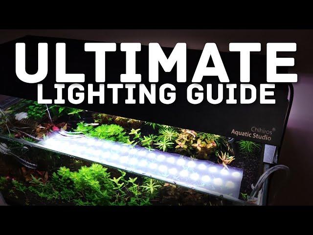 Aquarium Lighting 101: Choosing the Right Light for Your Planted Tank