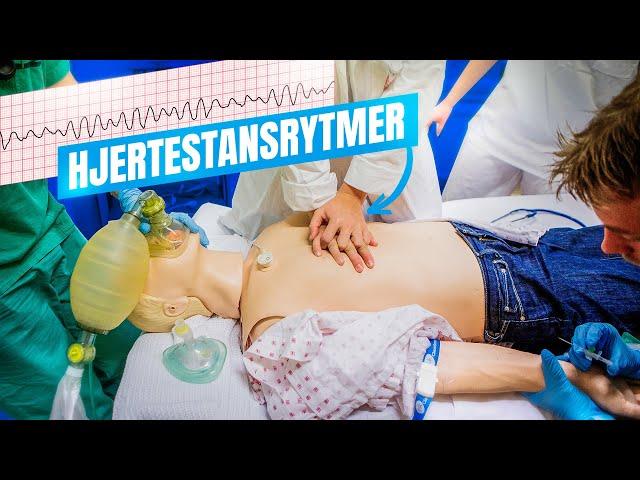 Hjertestansrytmer: Asystole, PEA, VT og ventrikkelflimmer