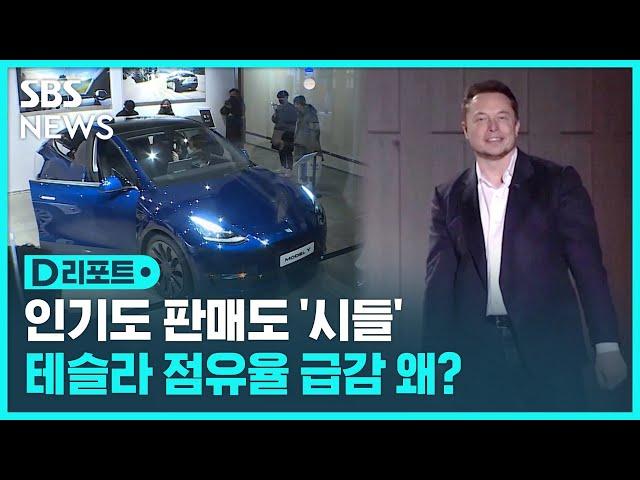 인기도 판매도 '시들'…테슬라 점유율 급감 왜? / SBS / #D리포트