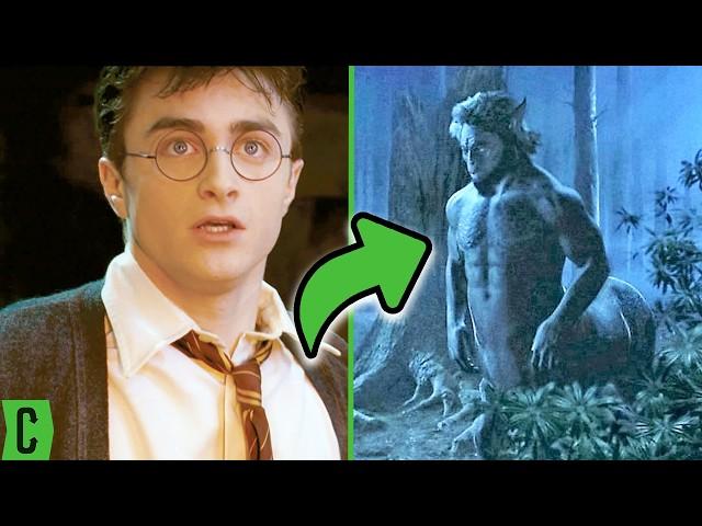 Harry Potter Magical Creatures We Wish We Saw More Of