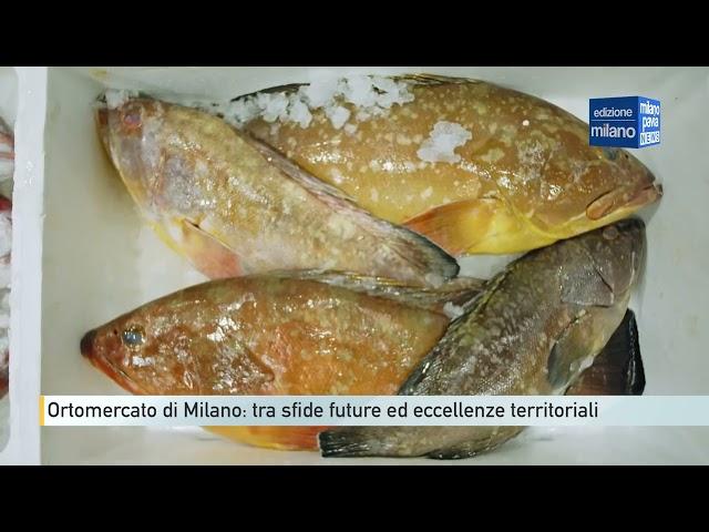 Ortomercato di Milano: tra sfide future ed eccellenze territoriali