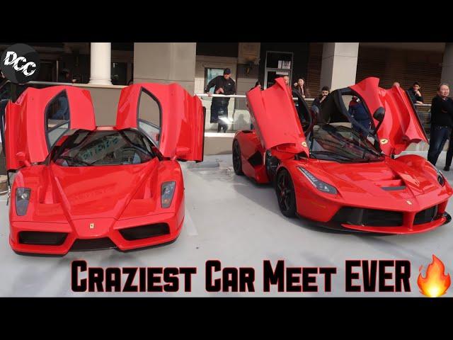 Ferrari Enzo, LaFerrari, F40, and MORE! (Cars and Chronos)