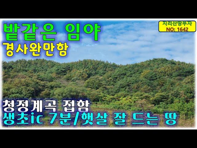 밭같은 임야!! 경사 완만+계곡 낀 산청군 임야 매매/산청부동산,산청군부동산,산청임야매매,산청군임야매물,함양임야매매,함양군임야매물,거창임야매매,거창군임야매매