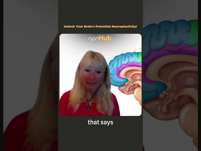 Unlock Your Brain's Potential: Neuroplasticity! (an insight from Rachel Paling)
