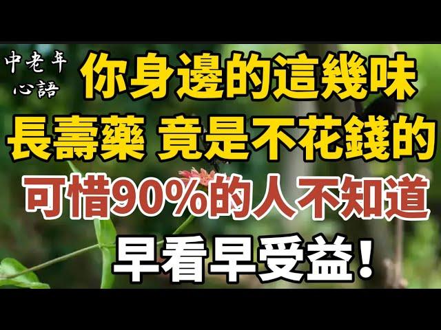 你身邊的這幾味長壽藥，竟然是不花錢的，可惜90%的人不知道！早看早受益！【中老年心語】#養老 #幸福#人生 #晚年幸福 #深夜#讀書 #養生 #佛 #為人處世#哲理