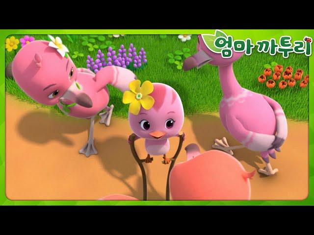 [엄마까투리 베스트 에피소드] 예쁘게 꾸며요! | Best Episodes EP28 | 동물 친구들 | 엄마 까투리 | 까투리 | Katuri