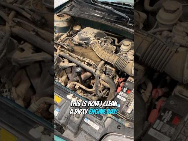 How To Clean a Dirty Engine Bay!