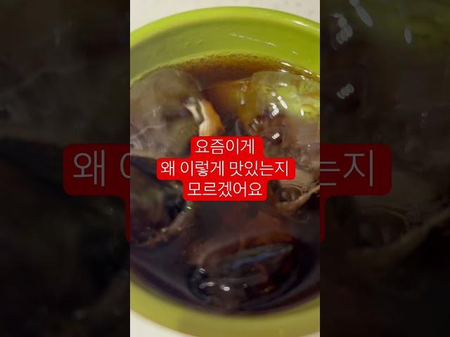 코카콜라 제로 레몬 중독