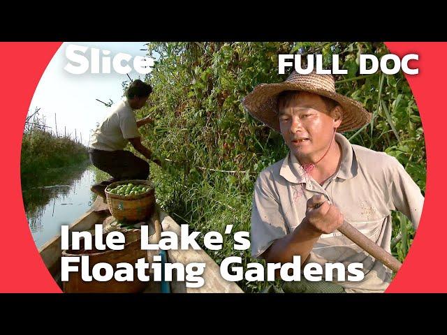 Inle Lake: A Sanctuary of Burmese Tradition and Thriving Nature | SLICE | FULL DOCUMENTARY