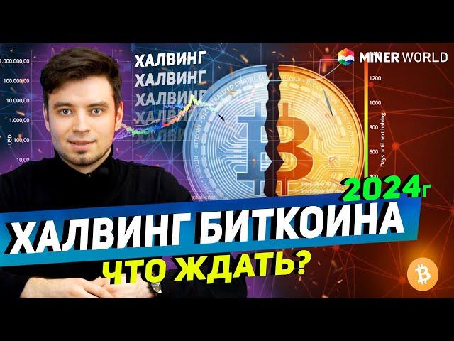 ХАЛВИНГ 2024 ГОДА -  ЧТО ЖДЁТ МАЙНЕРОВ? Пора уже готовиться...