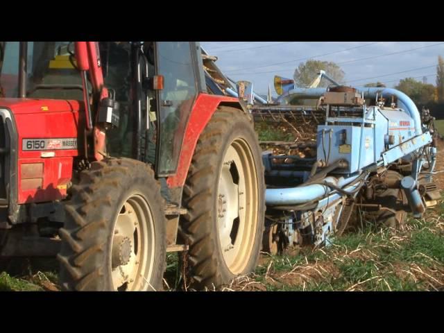 Harvesting Potatoes - from ' bee bright - OUT AND ABOUT ON THE FARM - INCREDIBLE CROPS!'