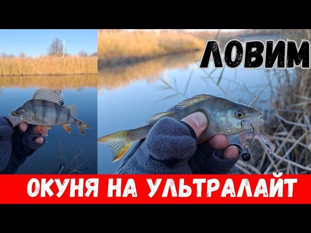 Ловля окуня на ультралайт 2024! Морозное утро на реке и клев окуня!