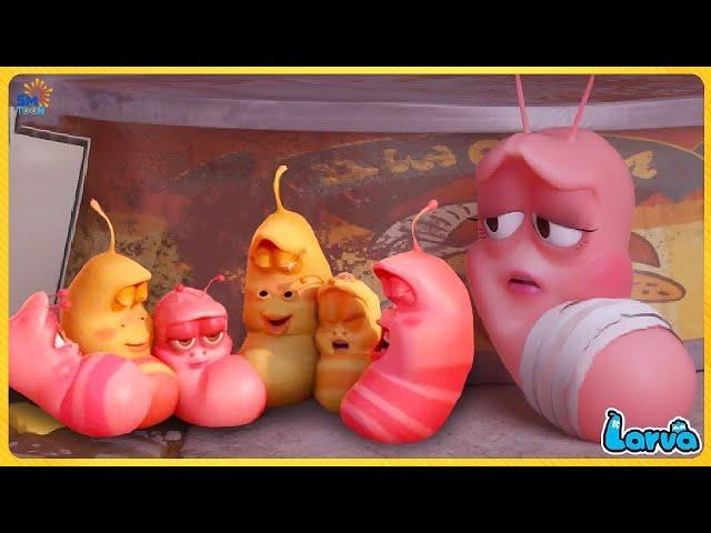 Larva Glue ( Season 3) Larva Cartoons - Official Best Cartoon Movie 20245