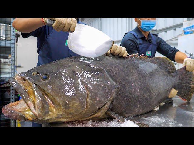 Amazing Fish Cutting Skills, Taiwanese Seafood Collection! / 驚人的技巧！魚的切割技能大合集